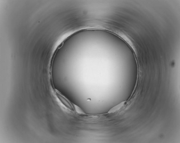 X0000089871485200707262139