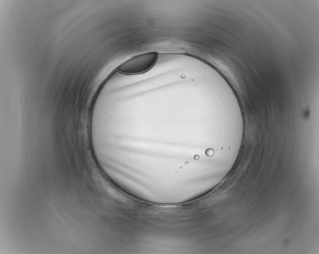 X0000089871486200707262139