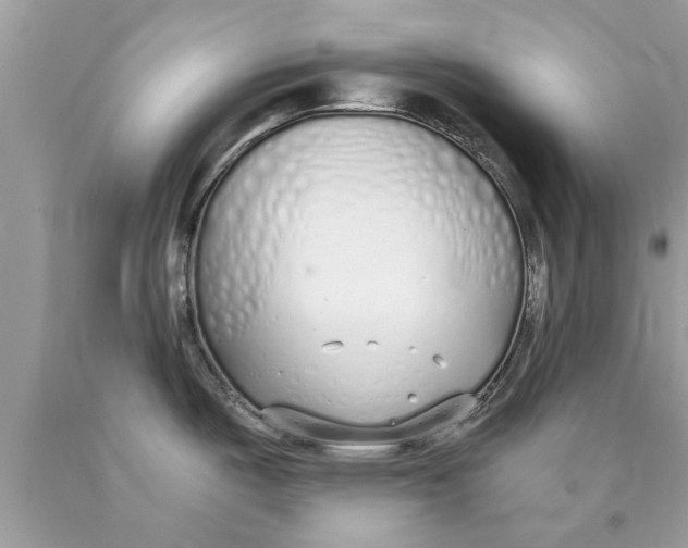 X0000089871487200707262139