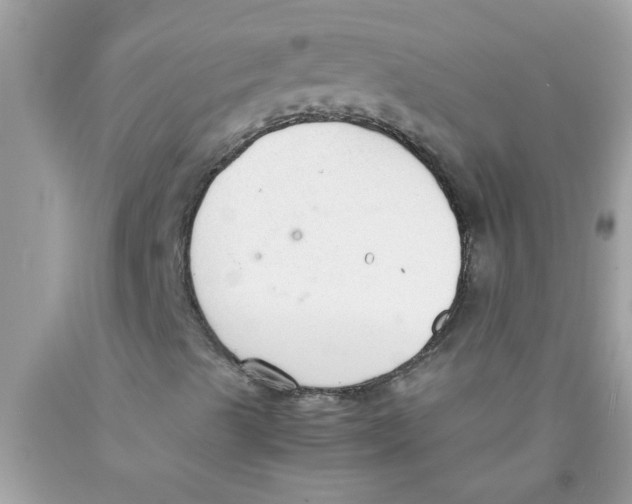 X0000089871489200707262138