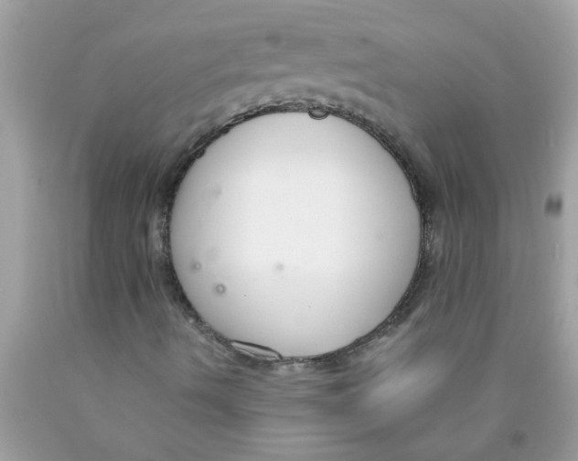 X0000089871490200707262138