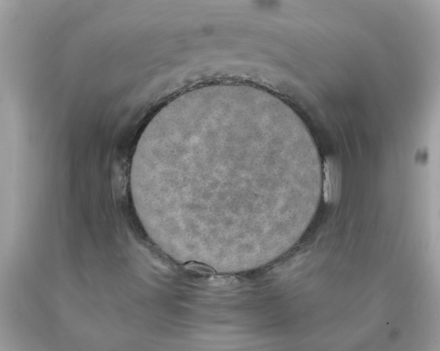 X0000089871491200707262138