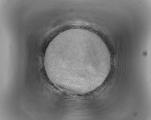 X0000089871493200707262138