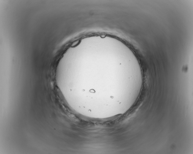 X0000089871494200707262138