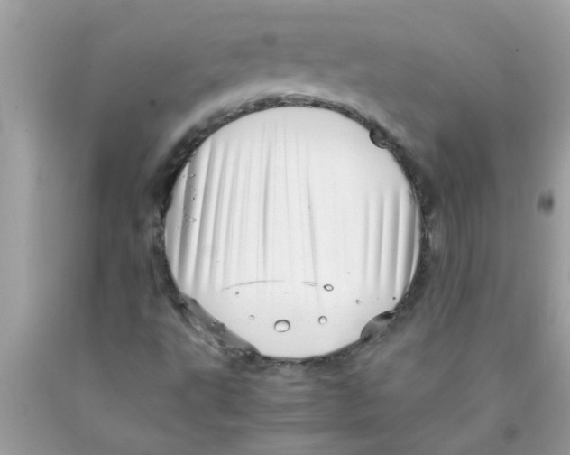 X0000089871495200707262138