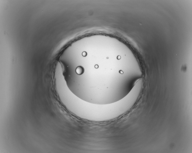 X0000089871496200707262138