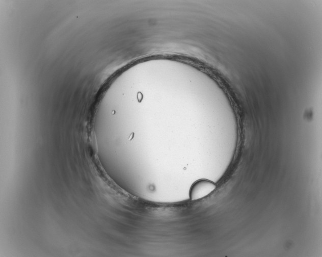 X0000089871497200707262138