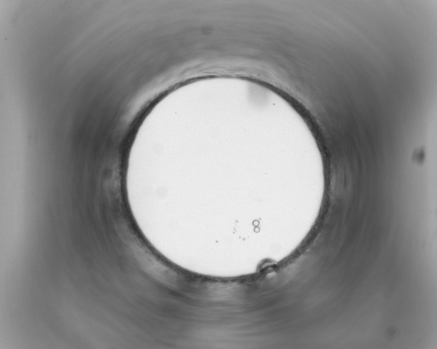 X0000089871498200707262138