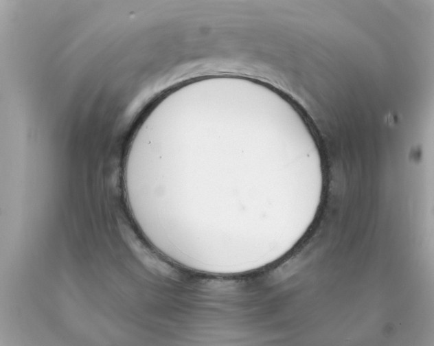 X0000089871499200707262138