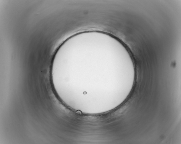 X0000089871500200707262138