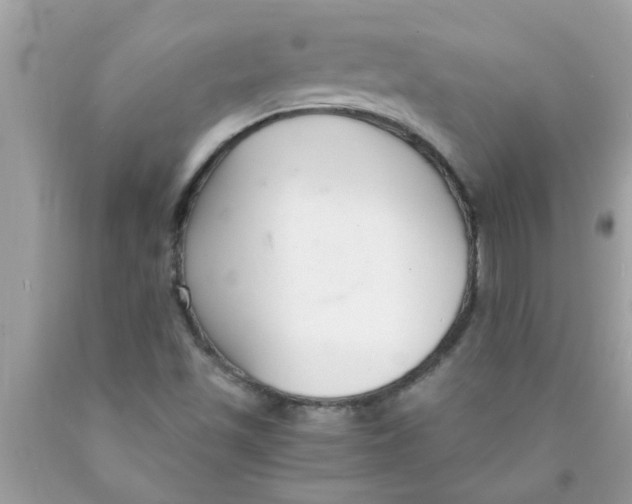 X0000089871501200707262138