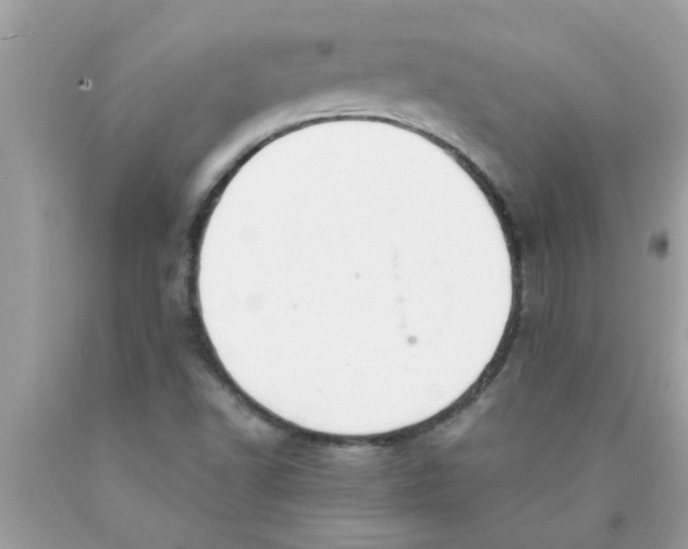 X0000089871502200707262138