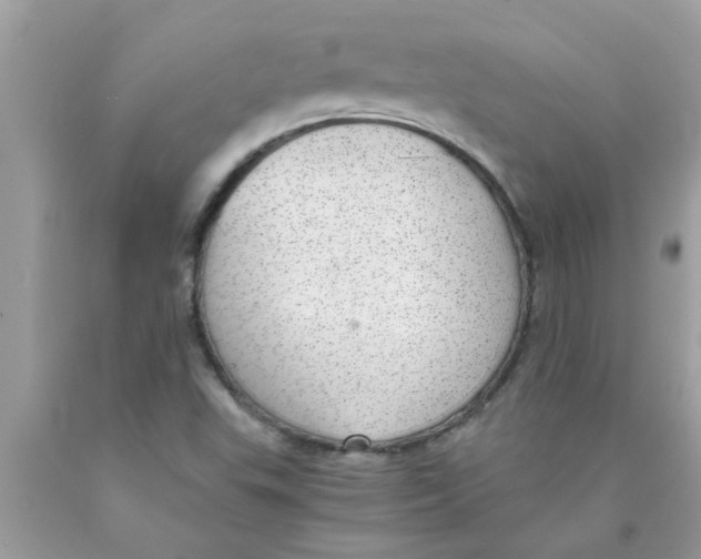 X0000089871503200707262138