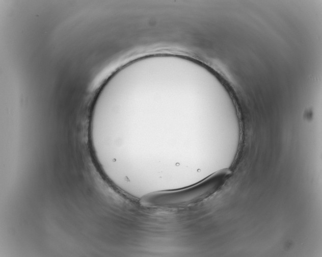 X0000089871504200707262138