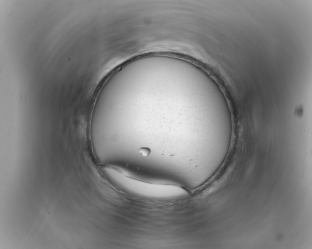 X0000089871505200707262138