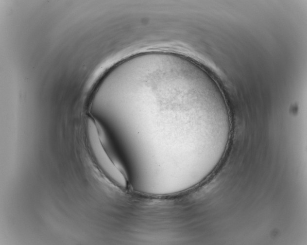 X0000089871506200707262138