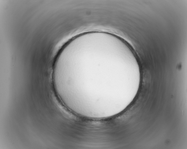 X0000089871507200707262138