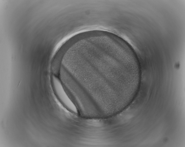 X0000089871508200707262138