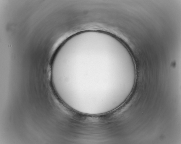 X0000089871509200707262138