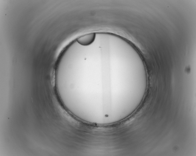 X0000089871510200707262138