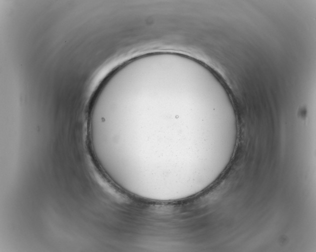 X0000089871511200707262138