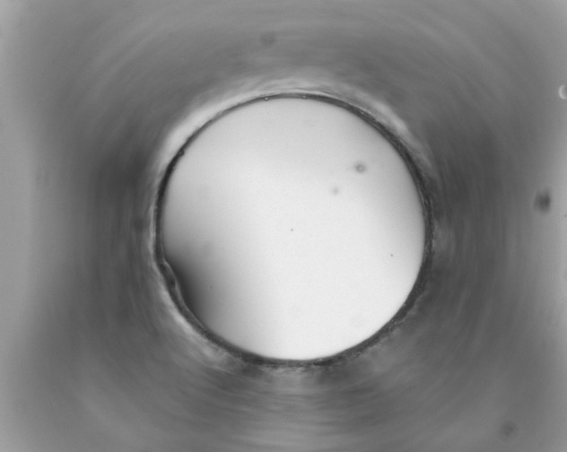 X0000089871512200707262138