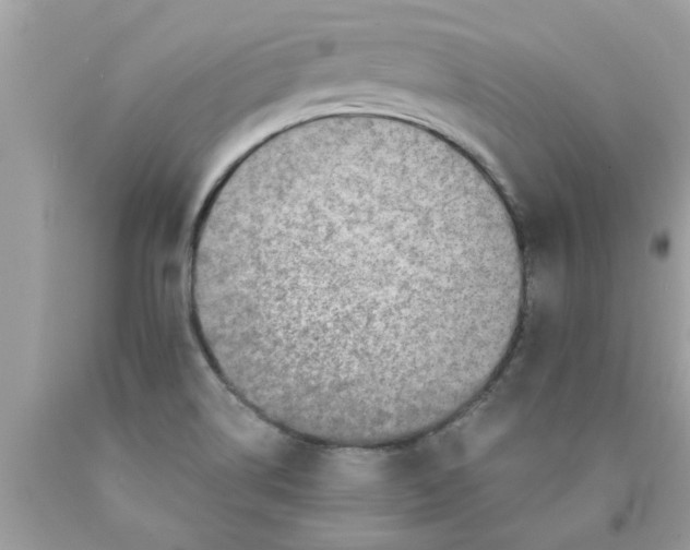 X0000089871514200707262138