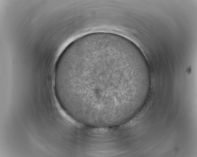 X0000089871515200707262138