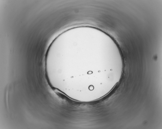 X0000089871516200707262138