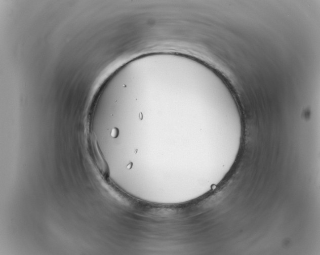 X0000089871517200707262138