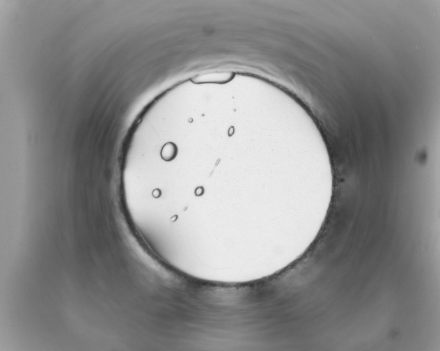 X0000089871518200707262138