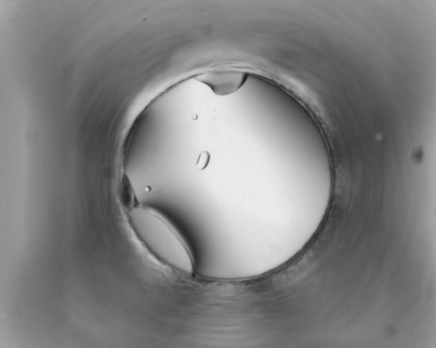 X0000089871520200707262138