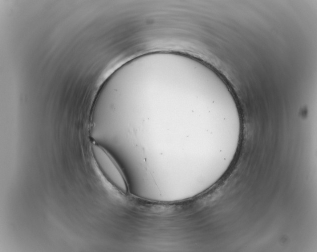 X0000089871521200707262138