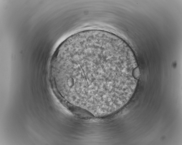 X0000089871522200707262138