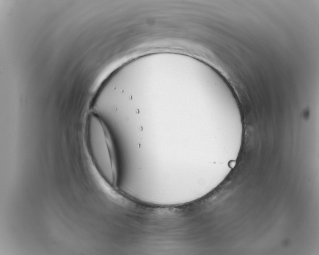 X0000089871523200707262138