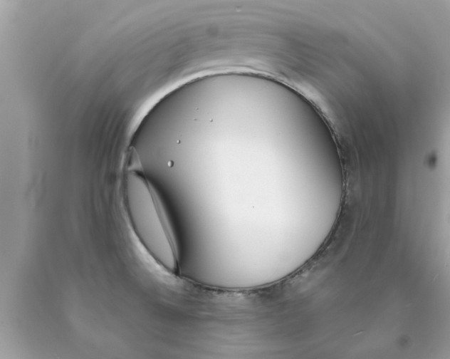 X0000089871524200707262138