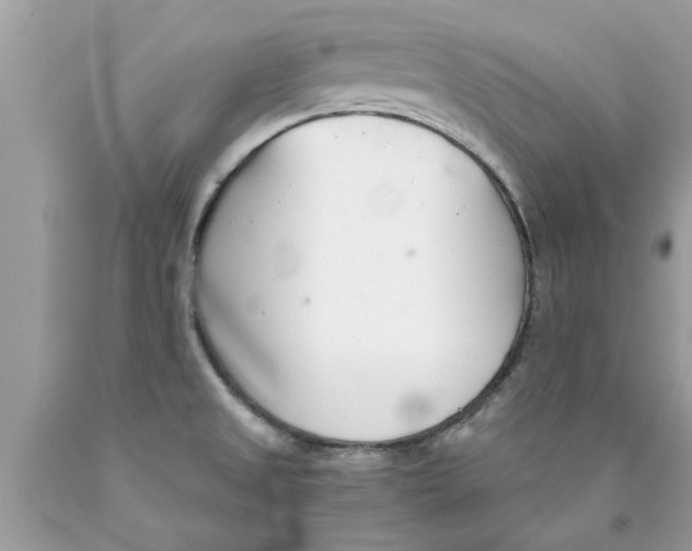 X0000089871525200707262138