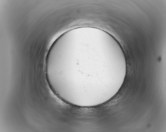 X0000089871527200707262138