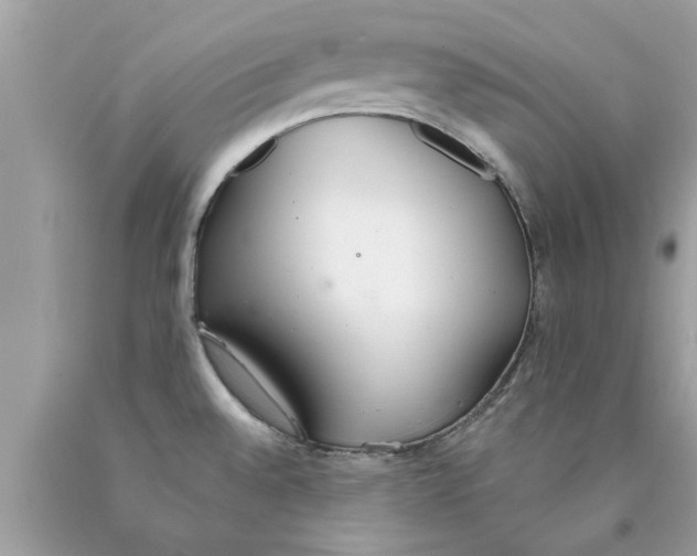 X0000089871528200707262139