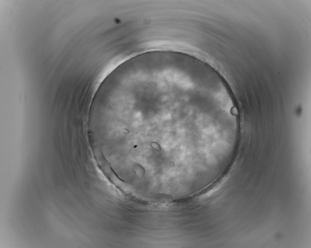 X0000089871529200707262139