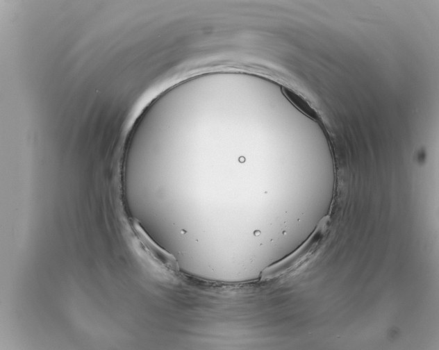 X0000089871530200707262139