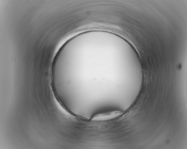 X0000089871531200707262139