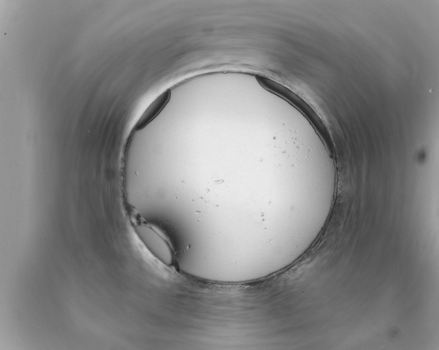 X0000089871532200707262139