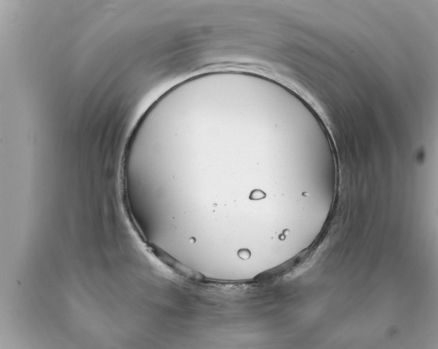 X0000089871533200707262139