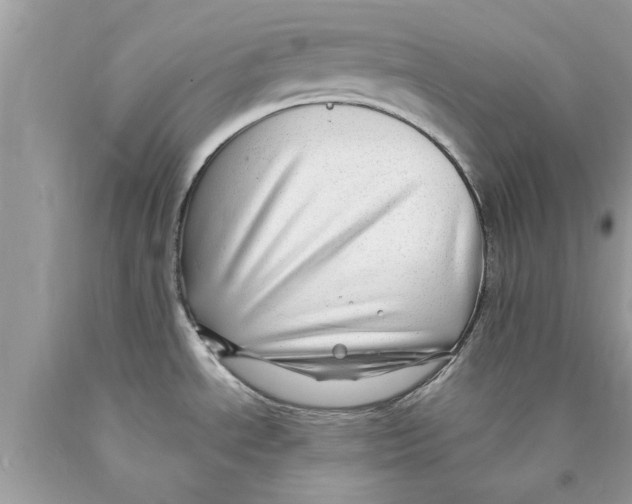 X0000089871534200707262139