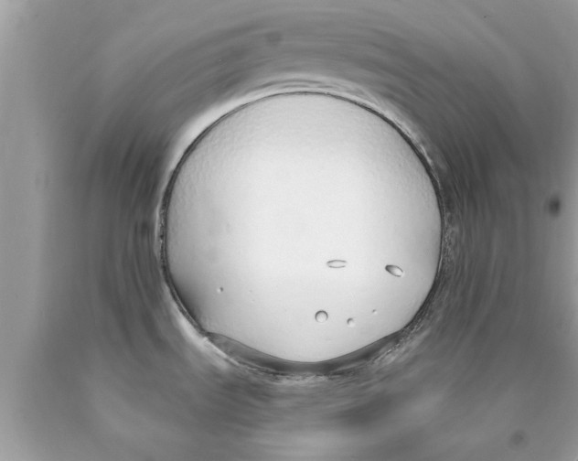 X0000089871535200707262139