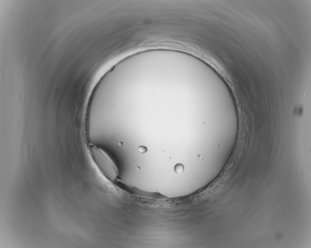 X0000089871536200707262139