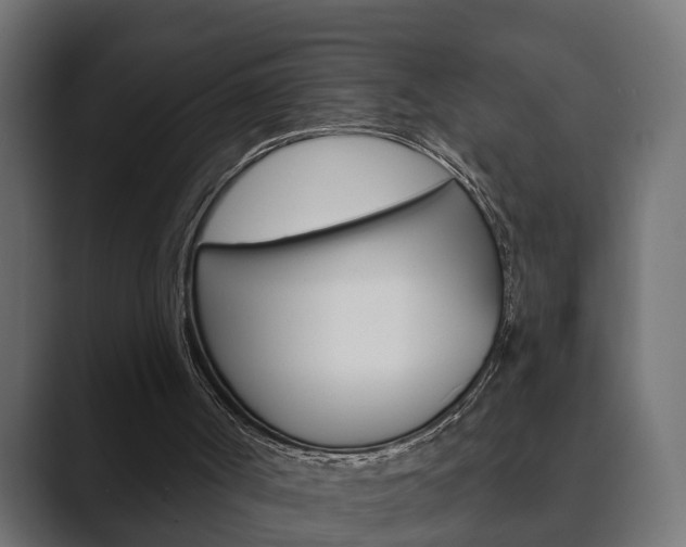 X0000089880002200706281100