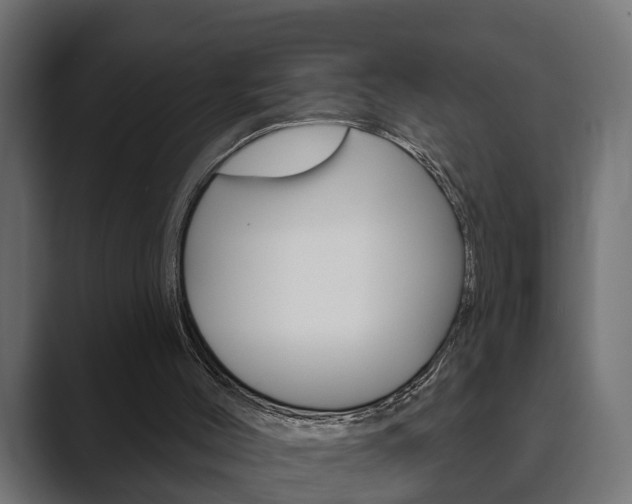 X0000089880004200706281100