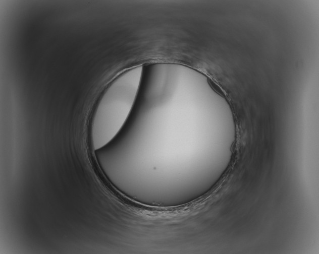X0000089880005200706281100